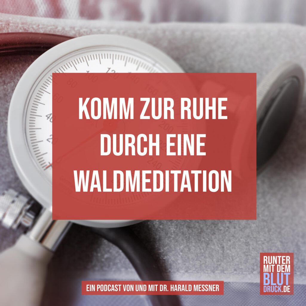 Waldmeditation