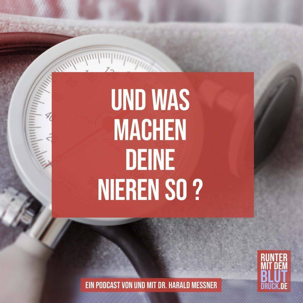 Und was machen dein Nieren so?