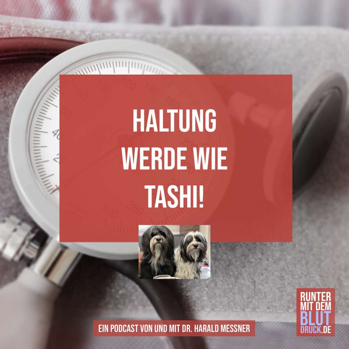 Haltung werde wie Tashi