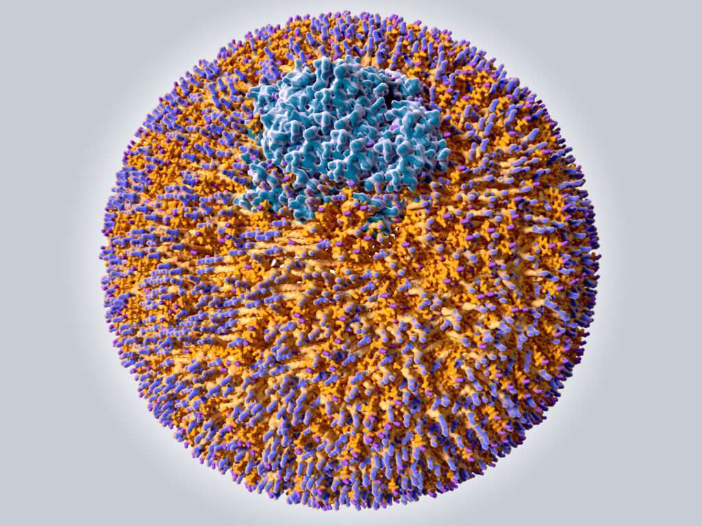 LDL-Cholesterin