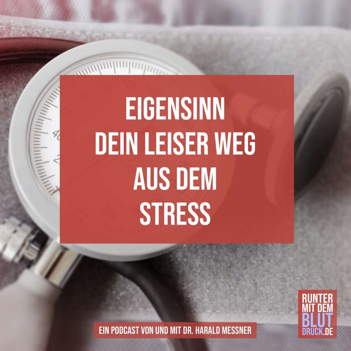 Ejigensinn- Dein leiser Weg aus dem Stress