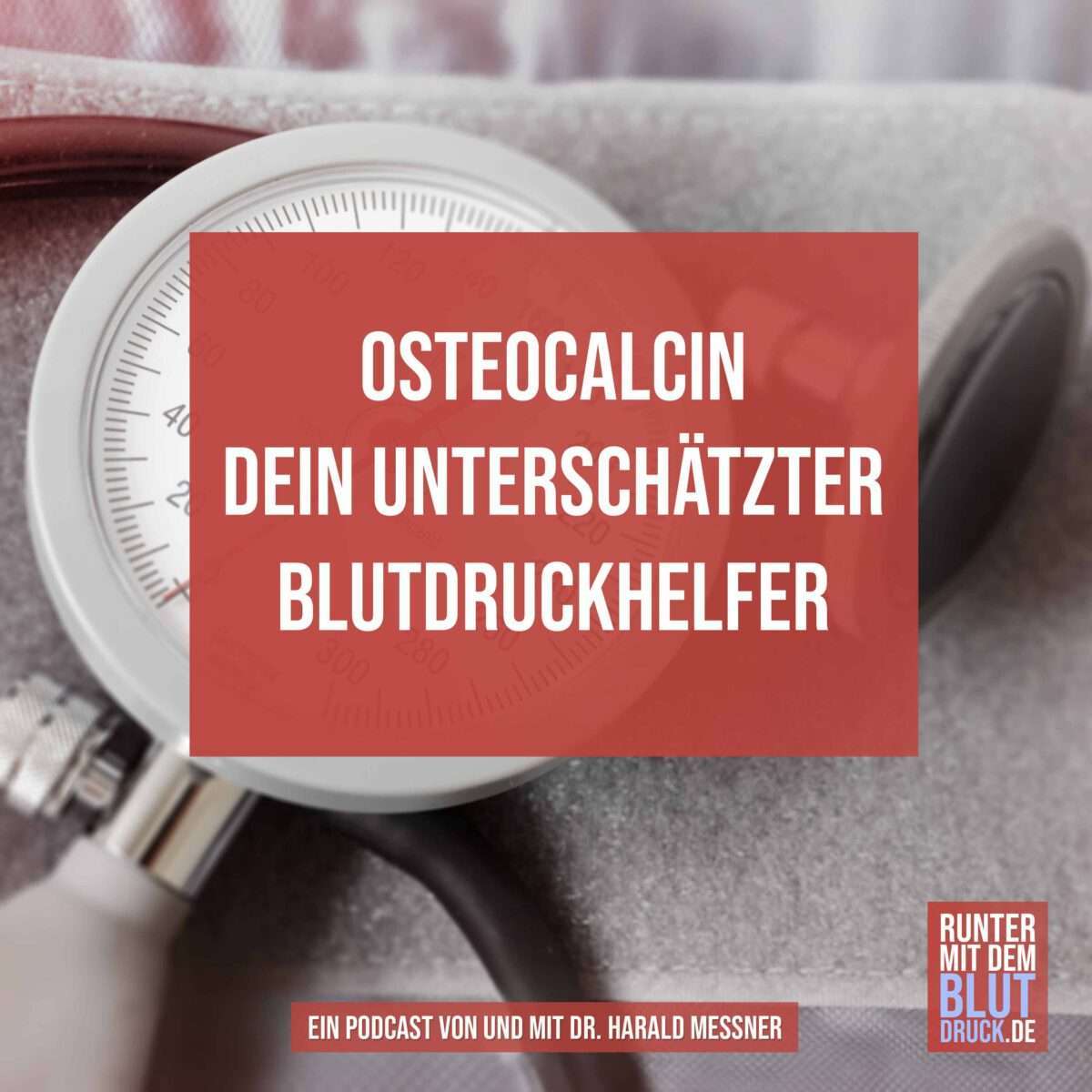 Osteocalcin- dein unterschätzter Blutdruckhelfer